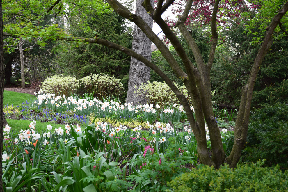 Foto de jardín en primavera en patio trasero con parterre de flores y exposición parcial al sol