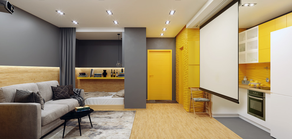 Однушка с кинотеатром