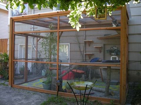 51 Outdoor Cat Enclosures Your Cat Will Love Sacramento by ComfyDwelling Houzz UK