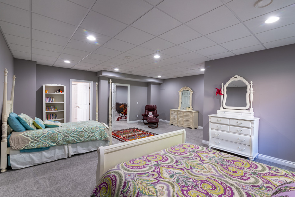 Naperville Basement Remodel 2 - Transitional - Basement - Chicago - by ...