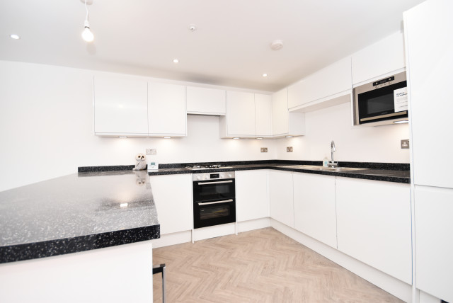 Balham Grove, SW12 trendy-koekken