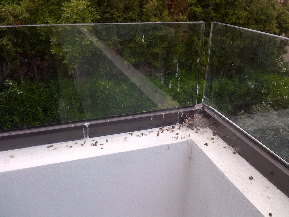 How to keep birds off of balcony railing?