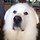 laurie_mcdonough