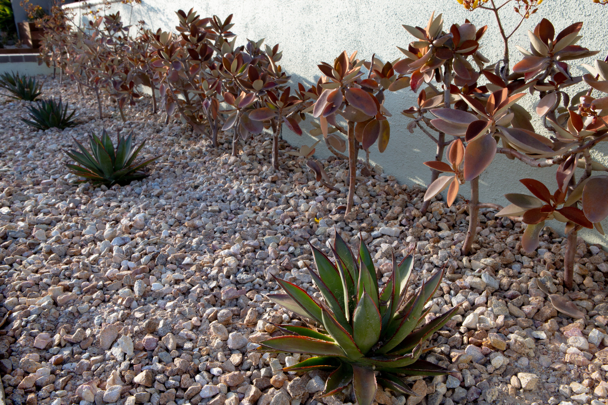 San Pedro, CA: Palm Springs Mid-Mod by the Beach
