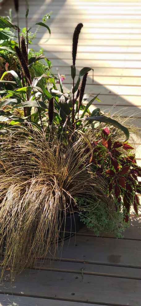 Проект " В тонких линиях "