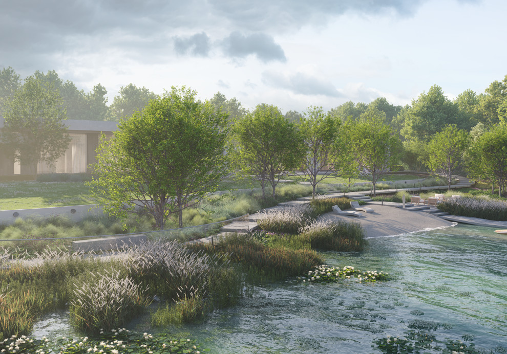 Тихая гавань