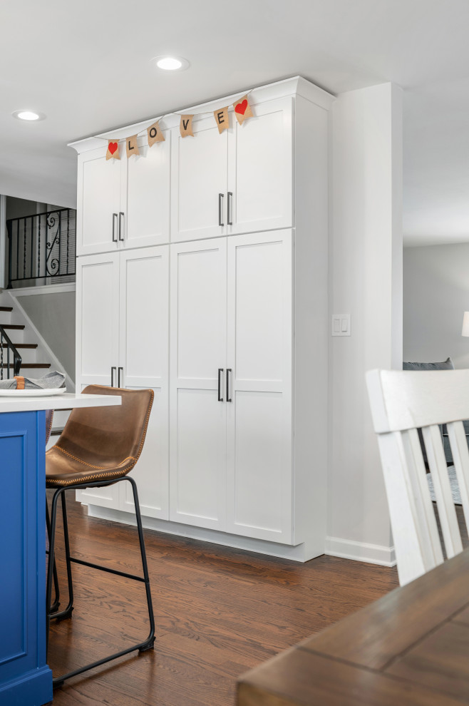 Home design - transitional home design idea in Chicago