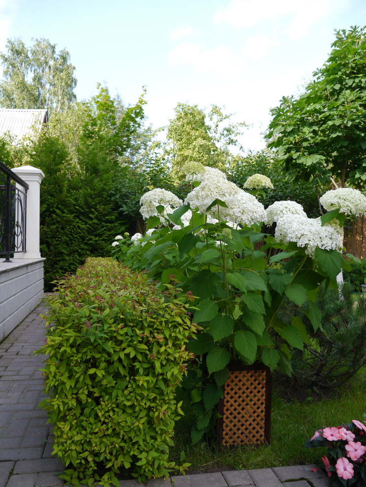 Дворик на 2-х сотках