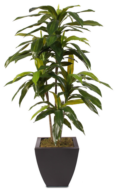 4ft Real Touch Dracaena Massangeana Tree in a Contemporary Metal Pot