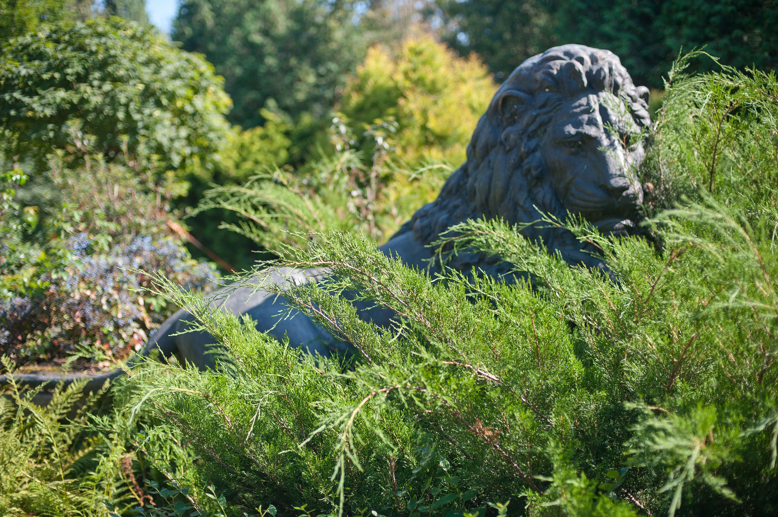 Грибово Барбарисовая
