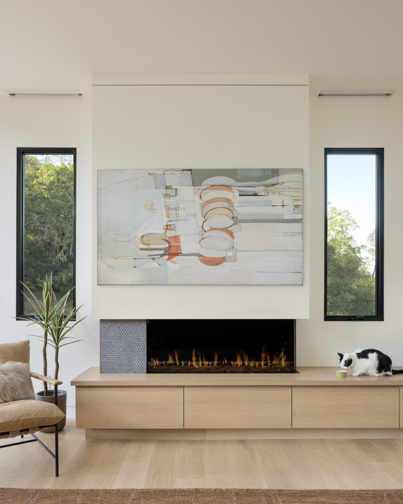 Living room - contemporary light wood floor and beige floor living room idea in San Francisco with white walls and a ribbon fireplace