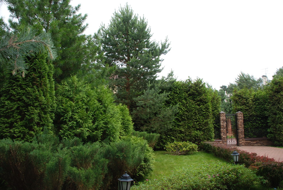 Небольшой сад на Рублевском шоссе