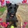 lynn_greenfield