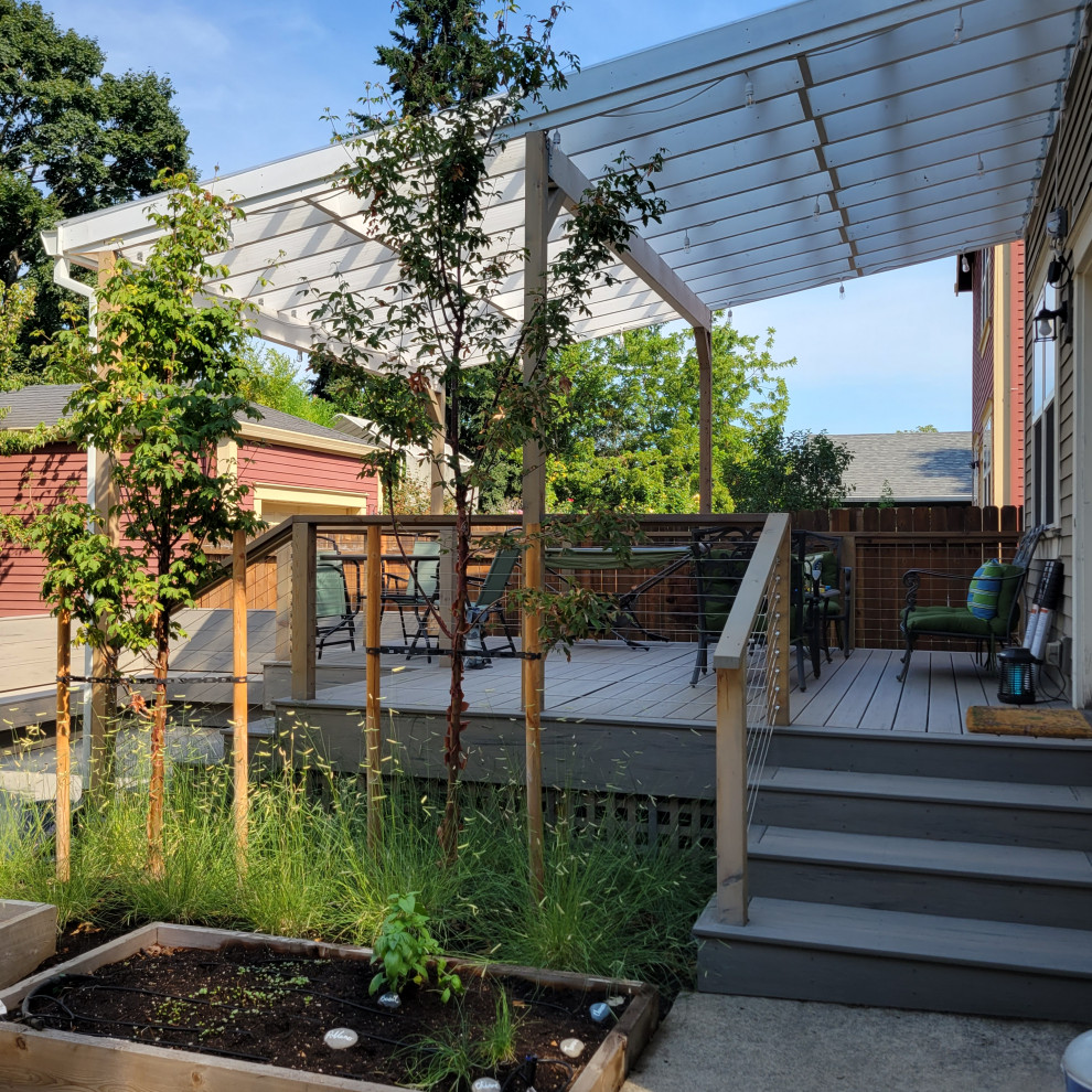 Ispirazione per un giardino xeriscape american style esposto a mezz'ombra di medie dimensioni e davanti casa in estate con pavimentazioni in cemento