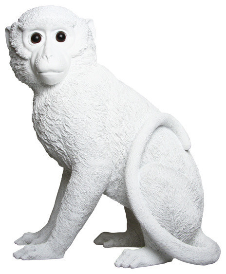 Monkey Money Box