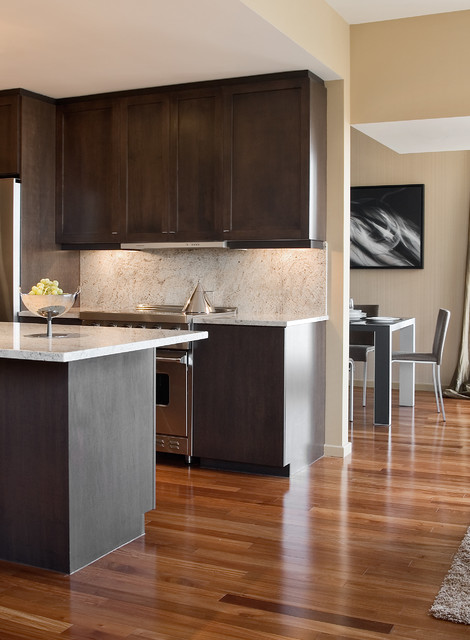 Condo Grey contemporary-kitchen