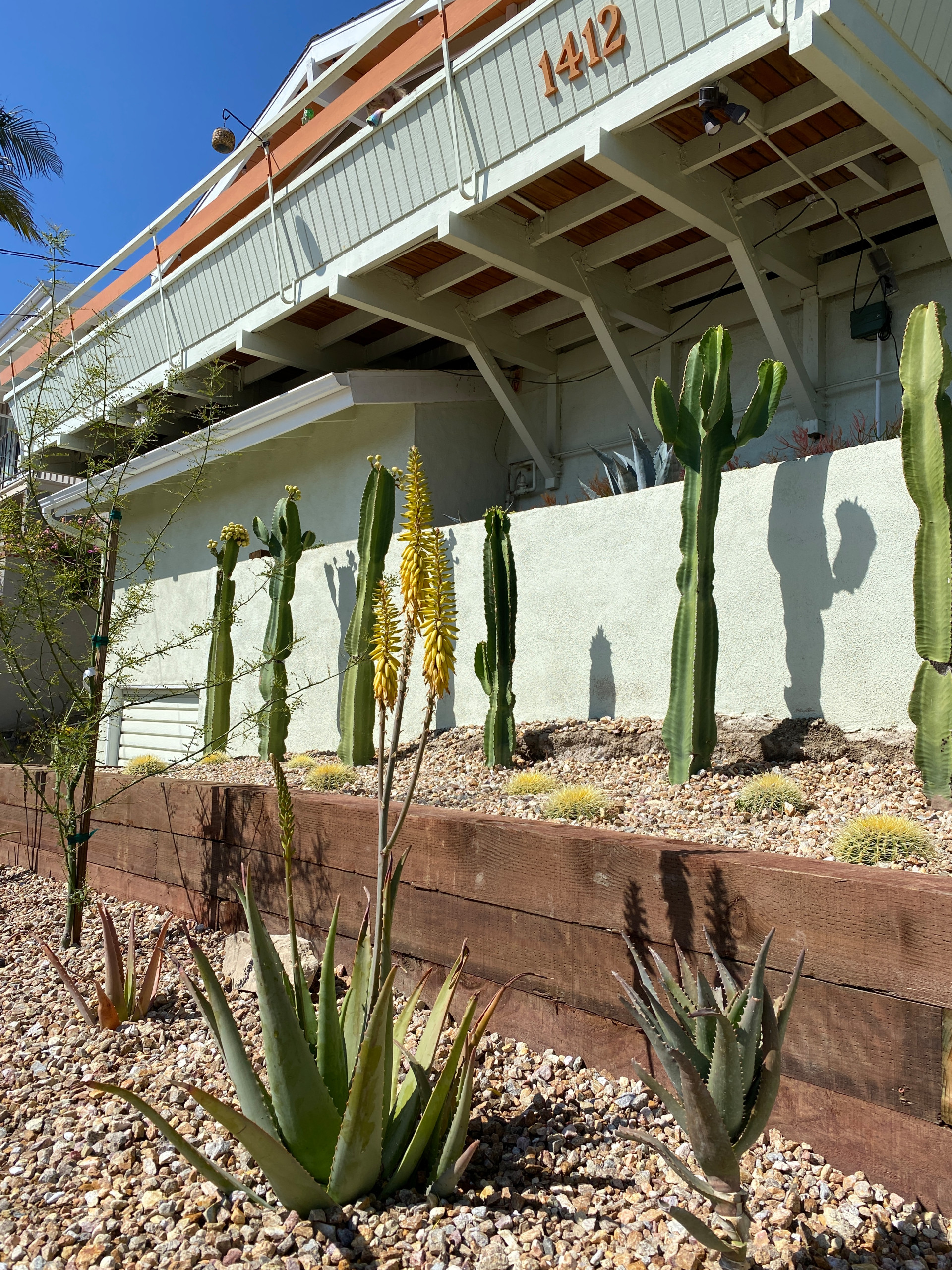 San Pedro, CA: Palm Springs Mid-Mod by the Beach