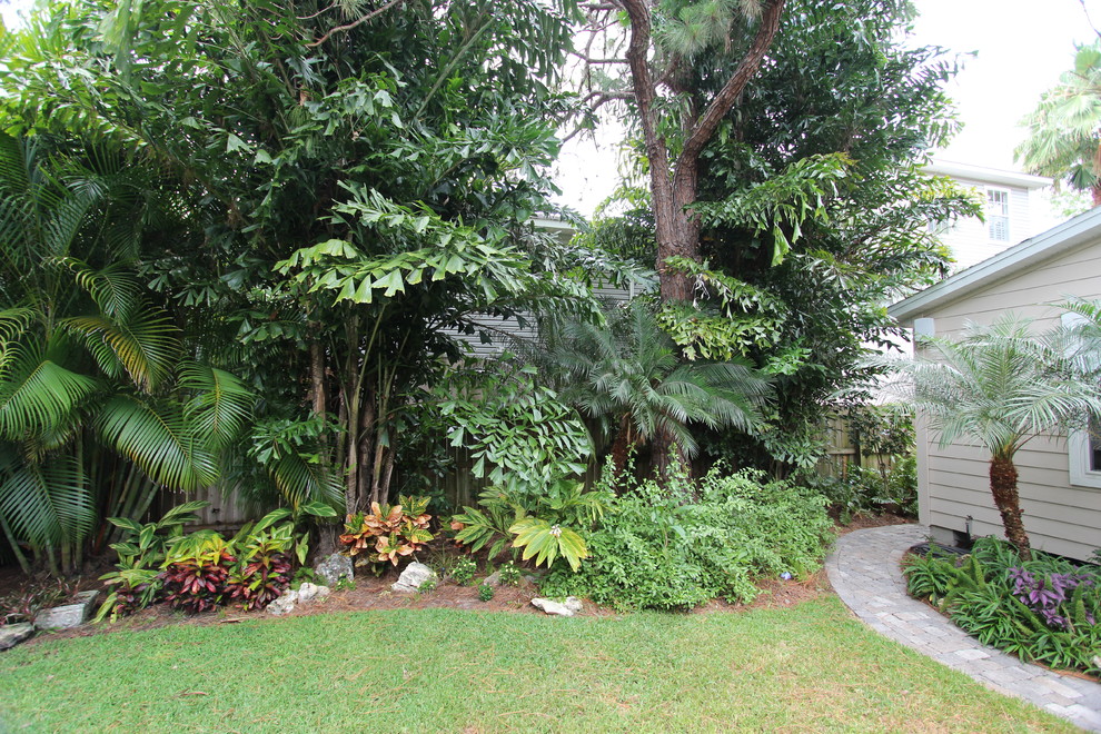 Immagine di un giardino tropicale