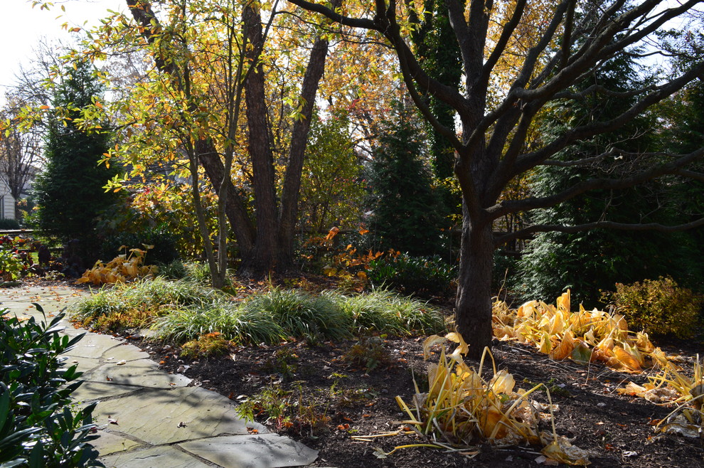 Australian native traditional garden in Philadelphia for fall.