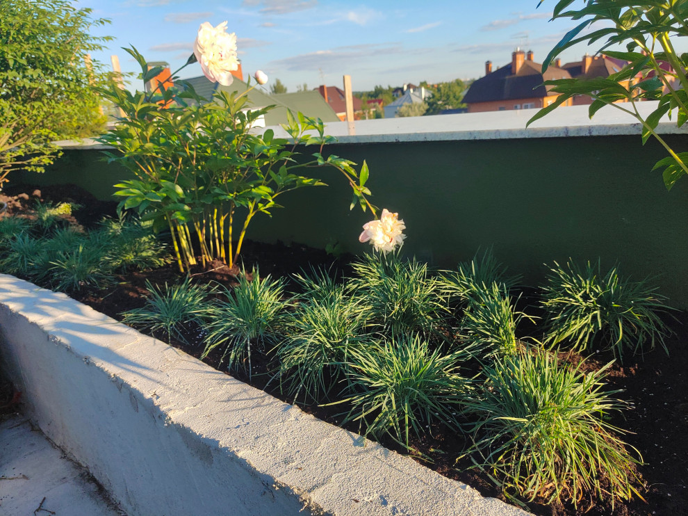 Сад на крыше