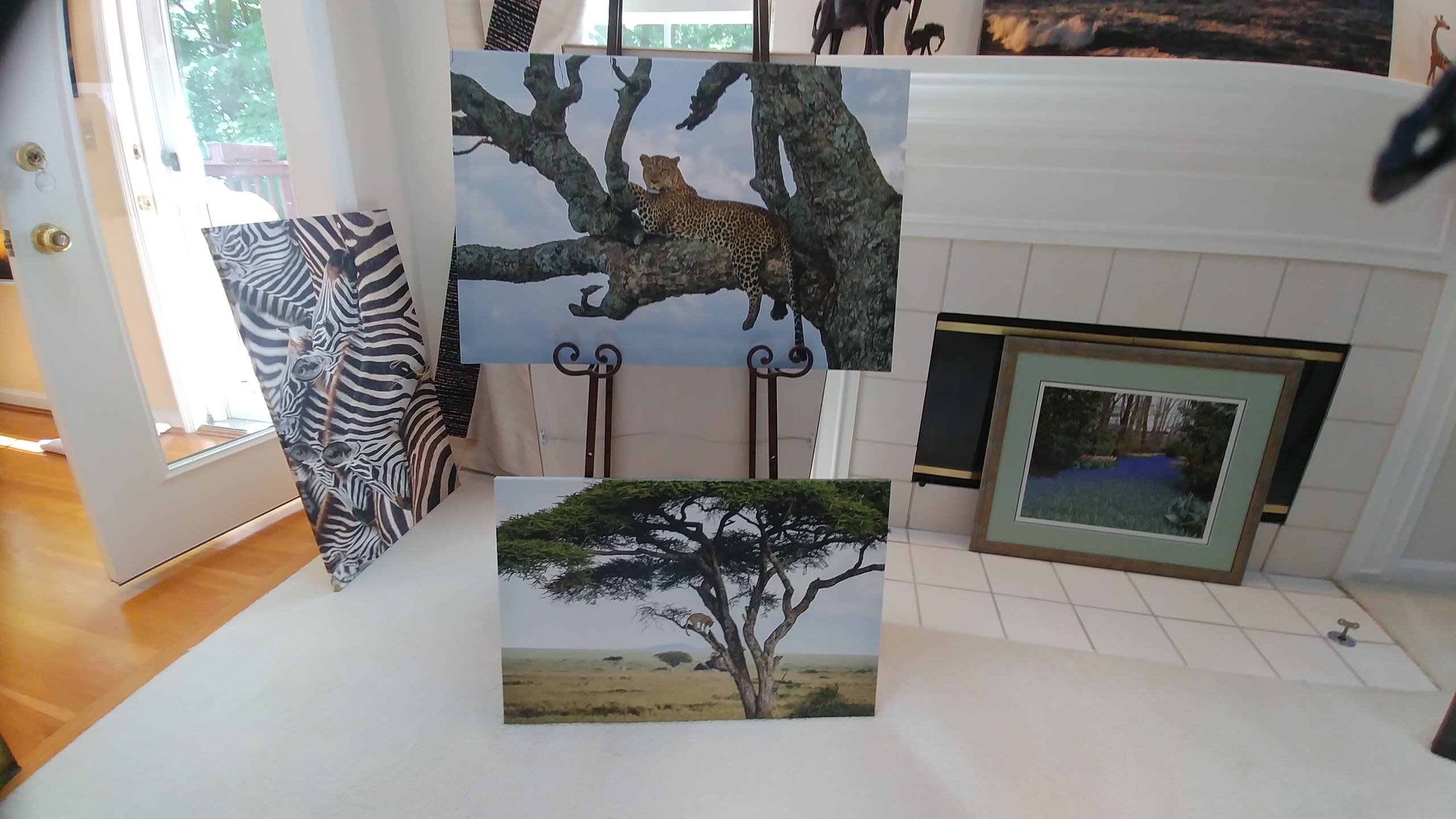 On the Plains of Sarengeti- Wildlife photographer's getaway