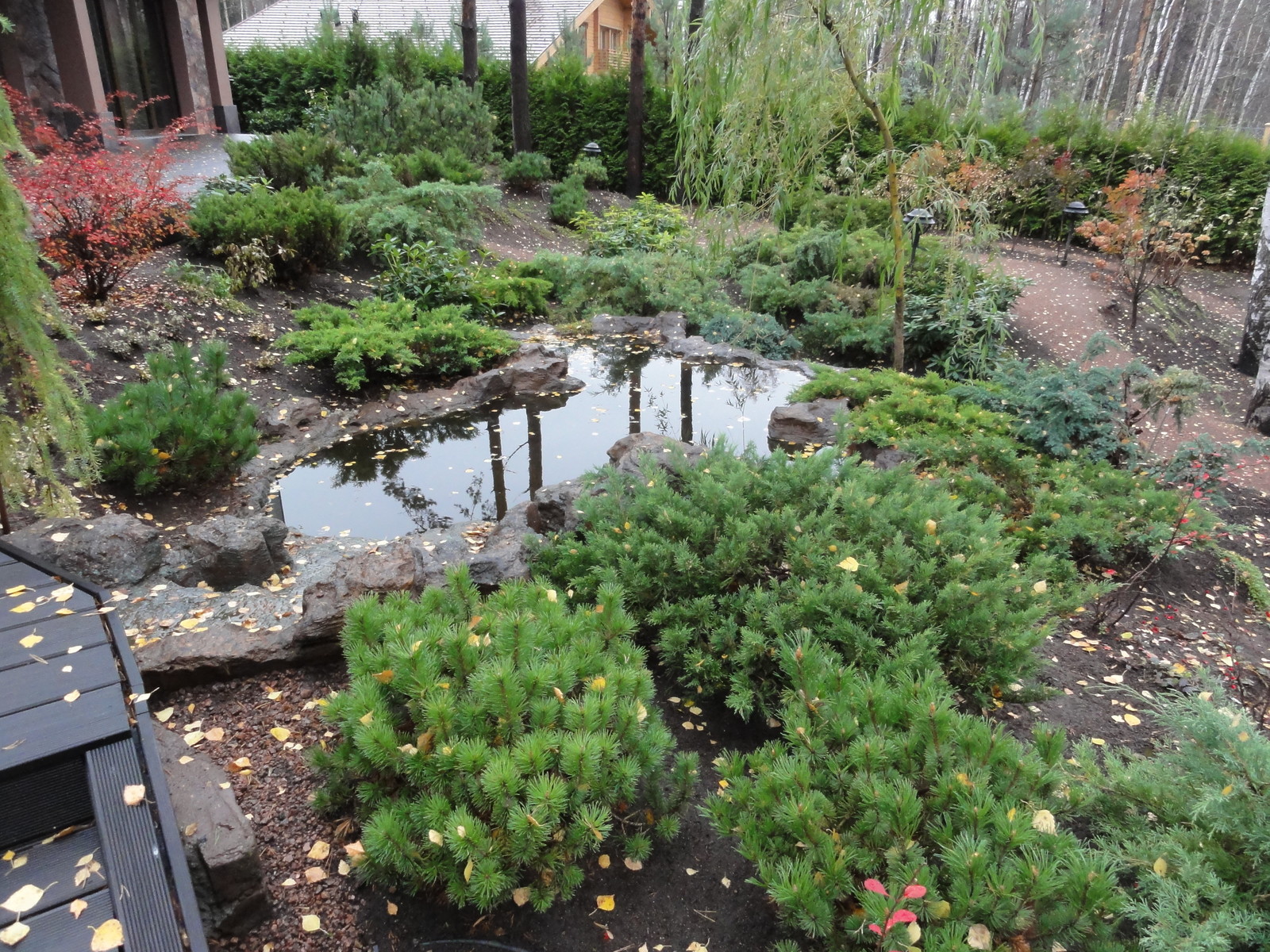 реставрация сада