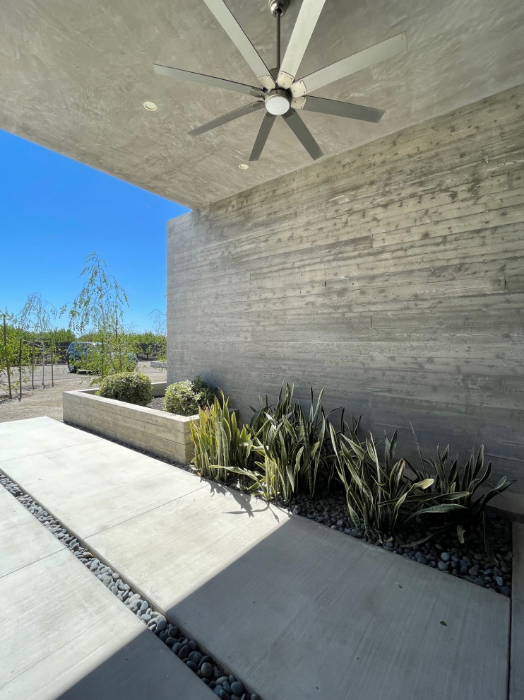 Orchard Oasis