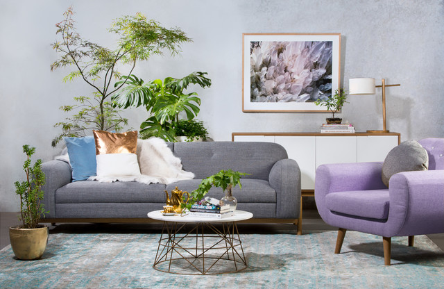 Interior Secrets contemporary