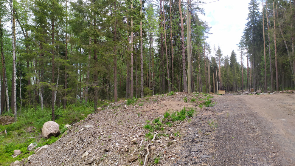 Лесная Ривьера