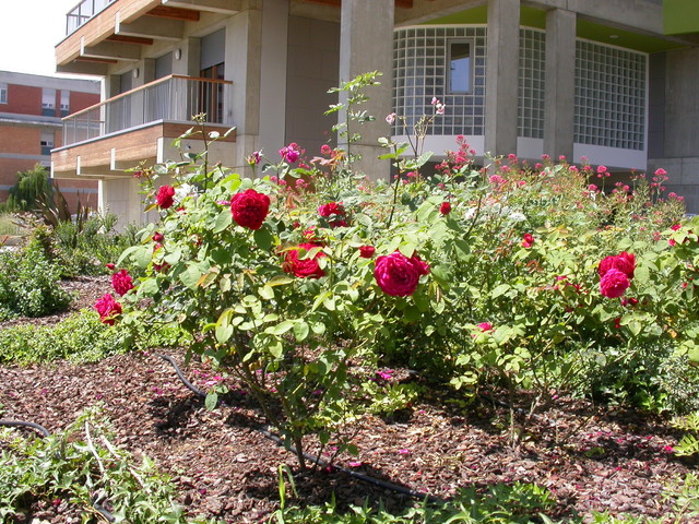 Progetto Prova klassisch-garten