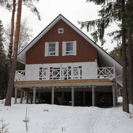 Загородный дом с видом на сосны