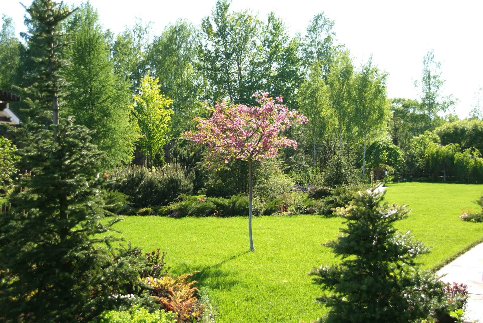 Ландшафт. Фелисово.