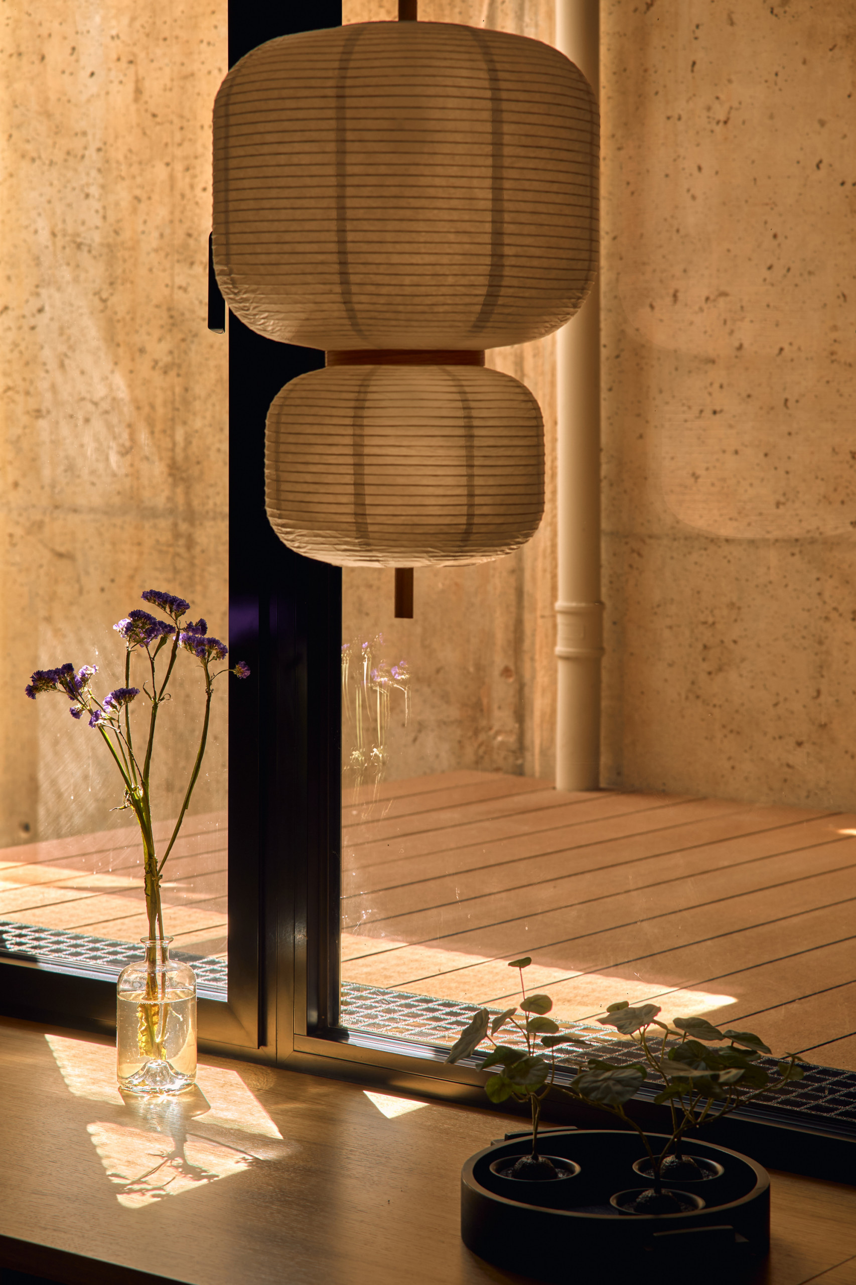 Homothecy - Detalles