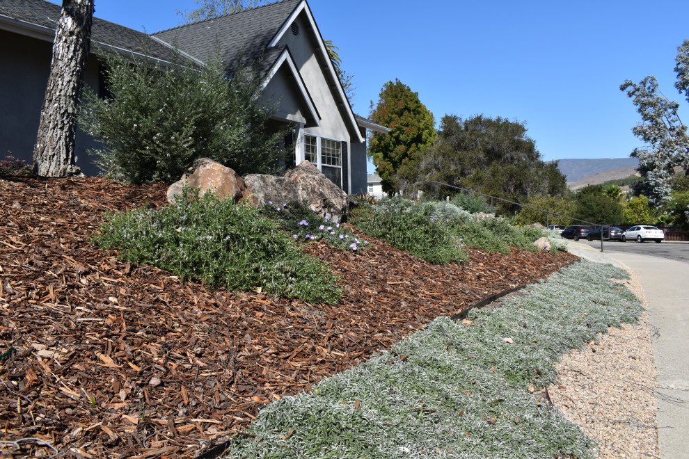 Maritimer Vorgarten mit Granitsplitt in San Luis Obispo