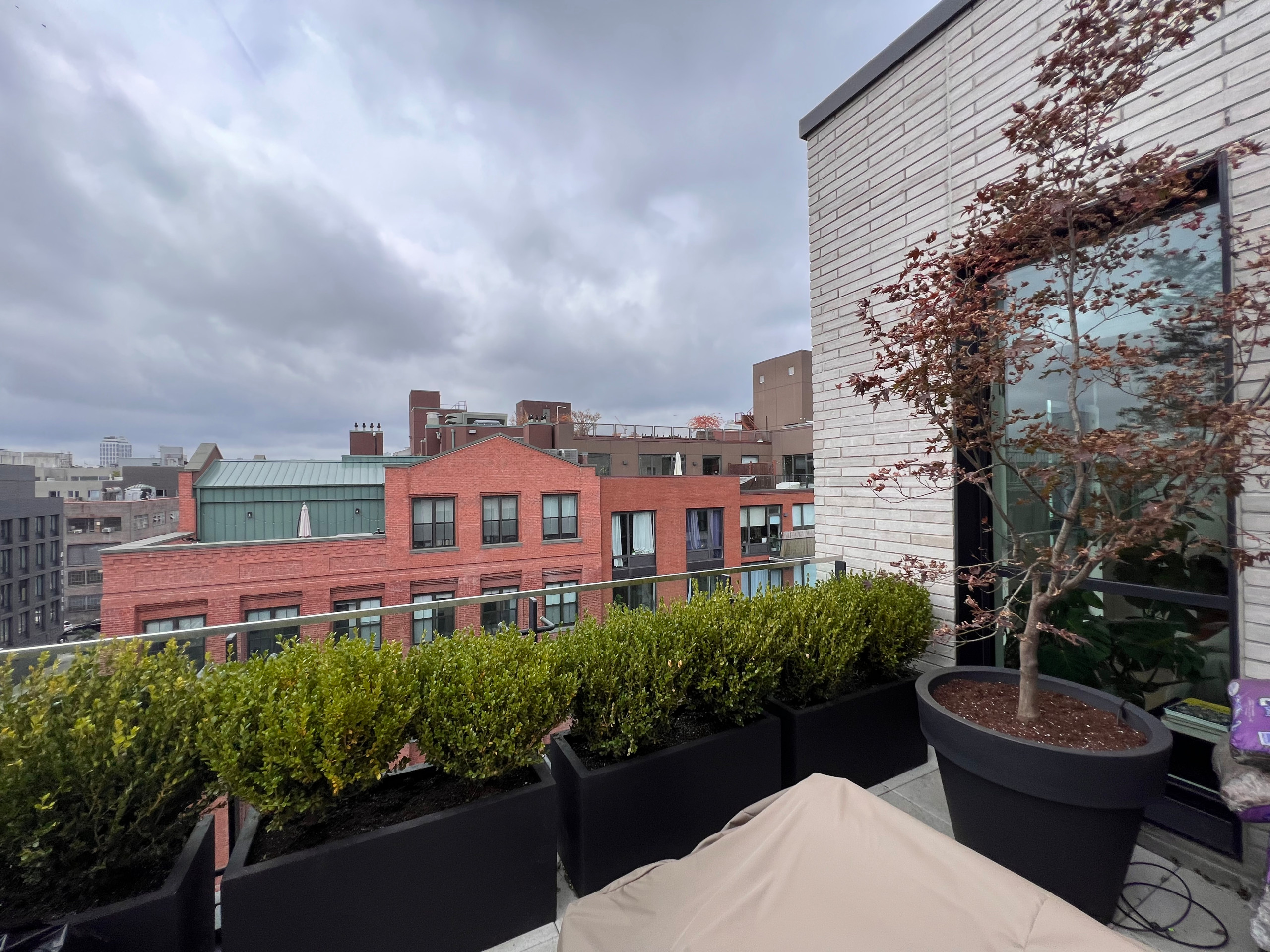 Williamsburg new terrace