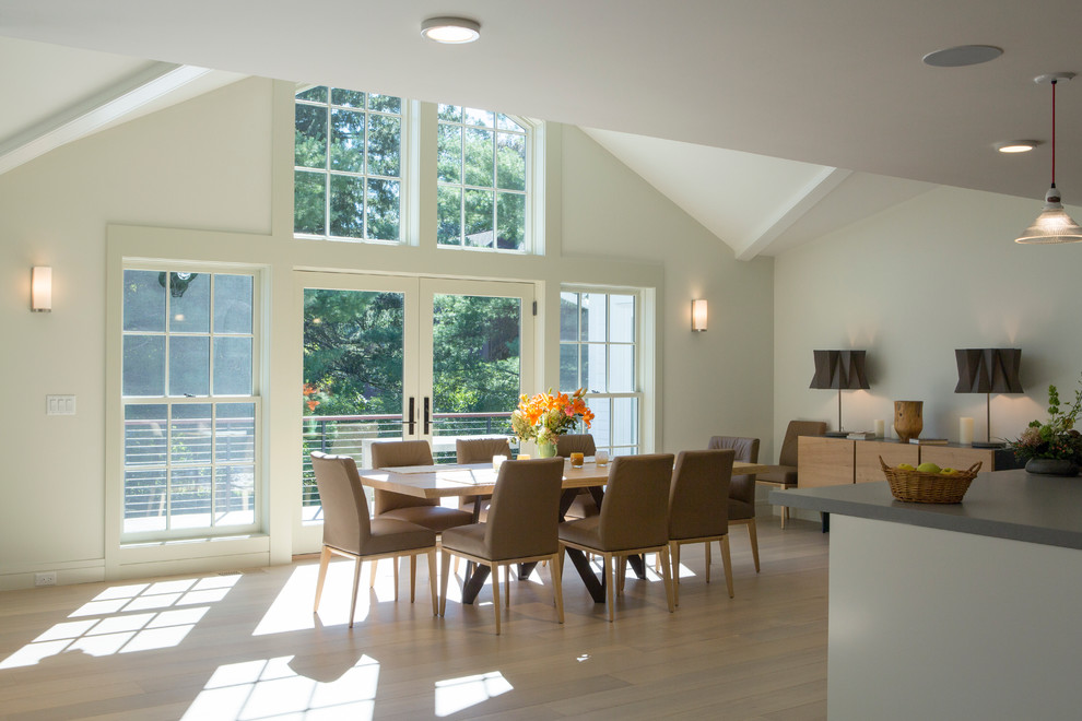 Kitchen/dining room combo - large contemporary light wood floor kitchen/dining room combo idea in Boston with white walls and no fireplace