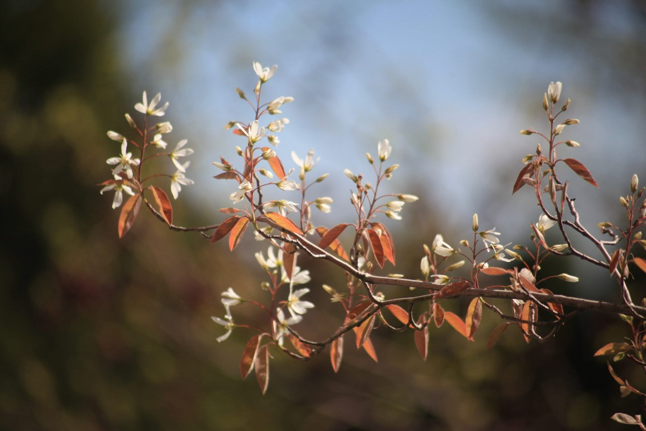 Тихая роскошь