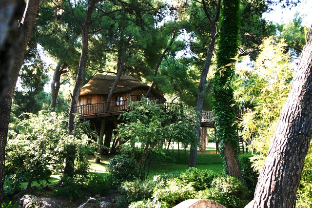 Blue Forest Tree House eklektisk-fasad