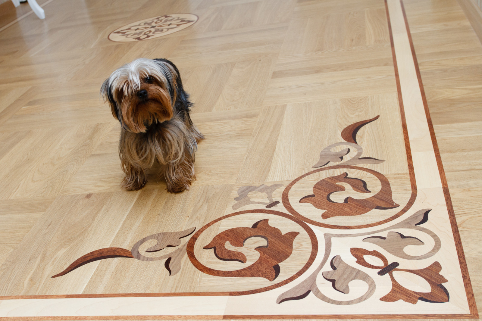 Художественный паркет в Иркутской квартире