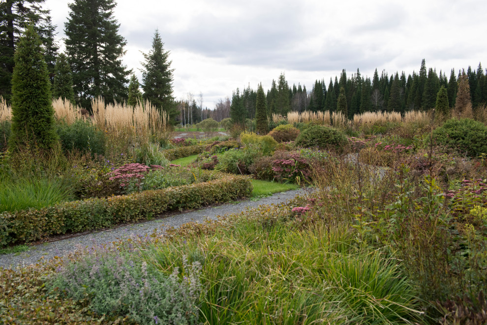 Многолетники