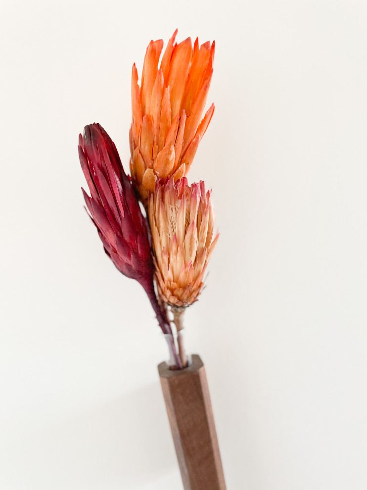 Modern Masculine Living | Cherry Creek, CO | Contemporary Condo Remodel