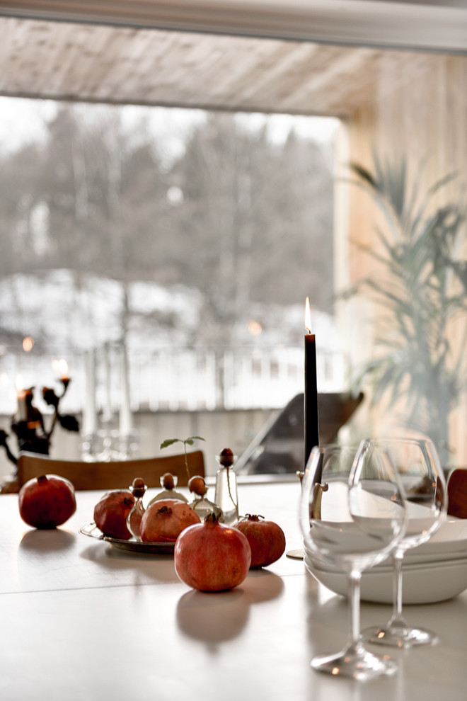 Esempio di una sala da pranzo scandinava