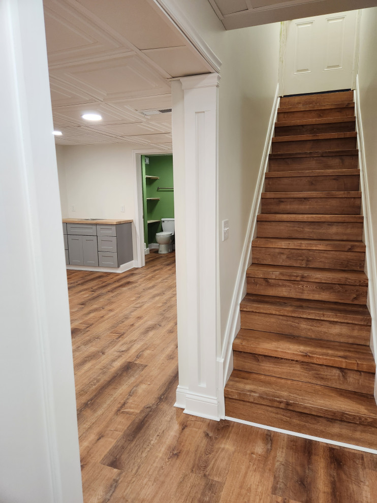 Basement Remodel