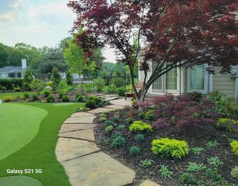 PV Backyard New Golf Green