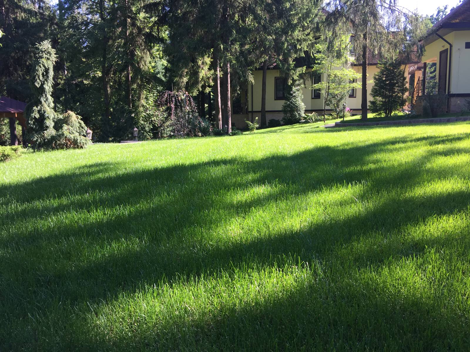 Ландшафтный дизайн участка 45 соток, КП Дубровка, МО