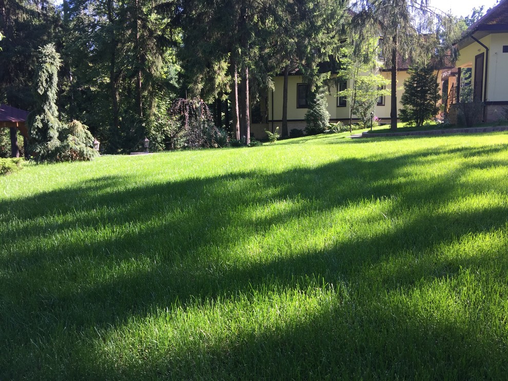 Ландшафтный дизайн участка 45 соток, КП Дубровка, МО