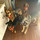 Last commented by Furmamma17