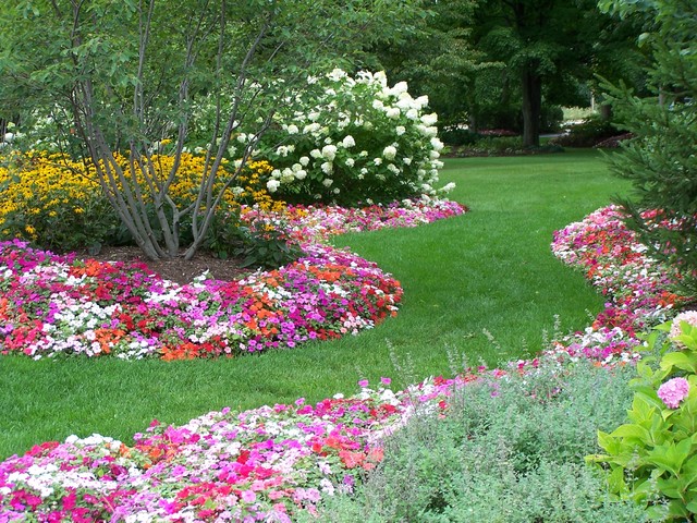 Seasonal Annual Beds - Traditional - Landscape - chicago - by Doering ...