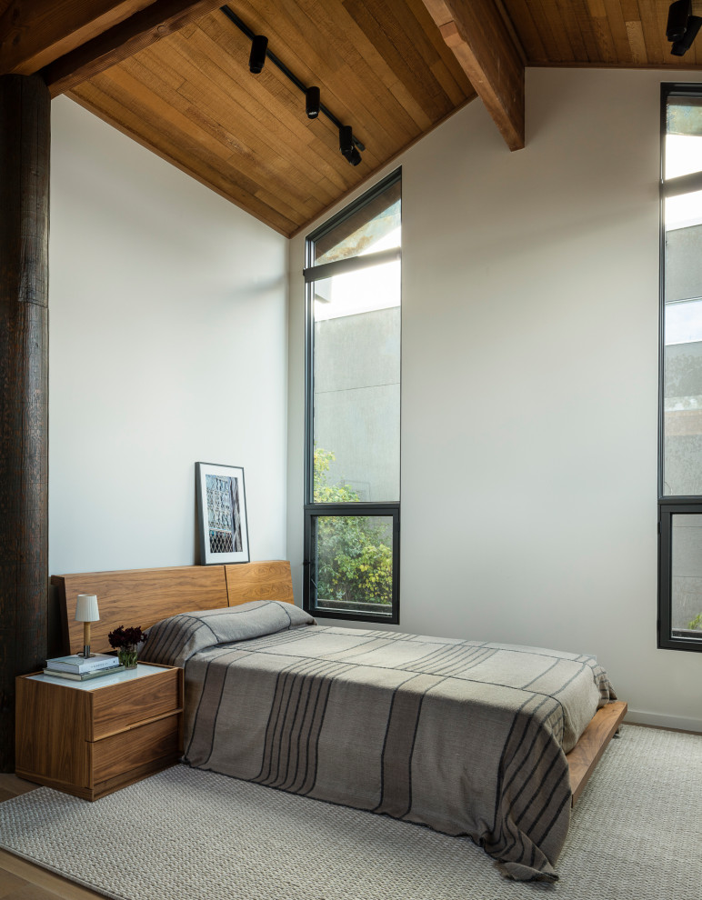 シアトルにあるコンテンポラリースタイルのおしゃれな主寝室 (三角天井、板張り天井、白い壁、ベッド下のラグ、グレーとブラウン)