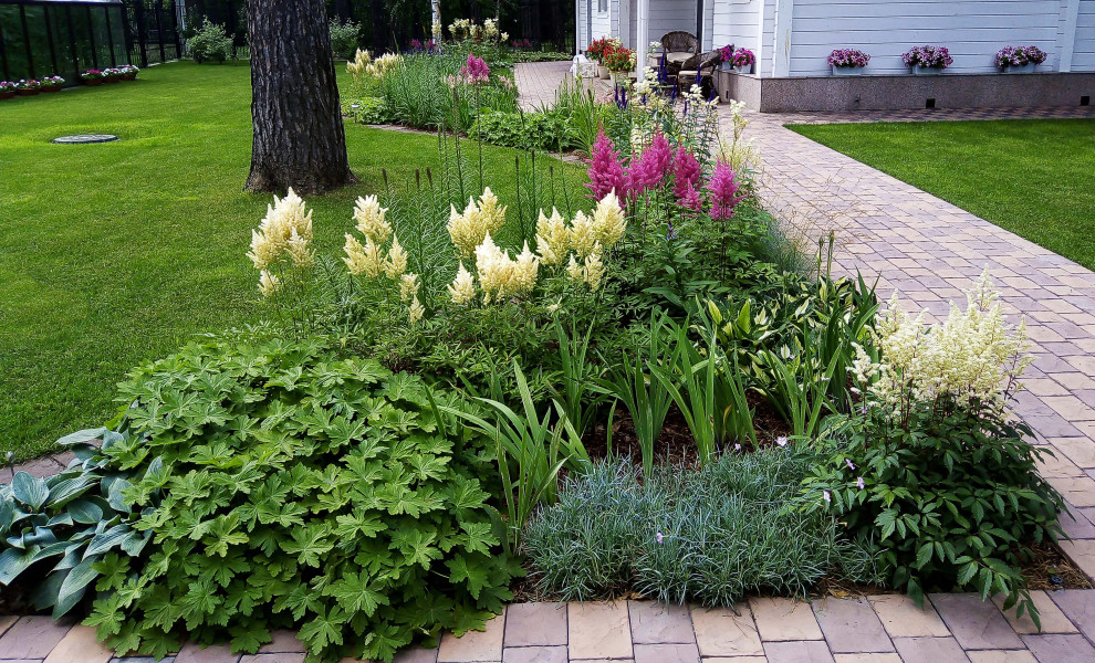 Цветники под пологом леса